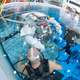 Imagen para el artículo titulado 4 años de preparación y 6 meses en el espacio: así nace un astronauta
